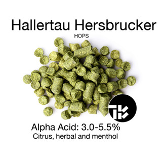 Hallertau Hersbrucker Hops – Germany - 2oz
