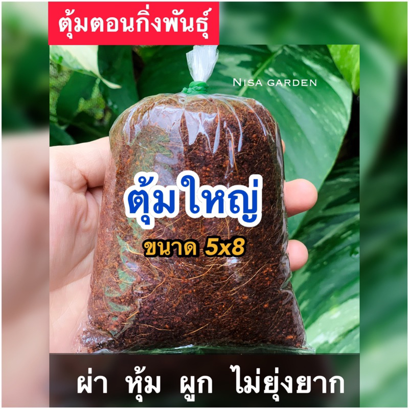 Nisa Garden ตุ้มตอนกิ่ง ถุง 5x8 ไซส์ใหญ่พิเศษ 10 ฟรี 1‼️ ขุยมะพร้าวผสมน้ำยาเร่งราก