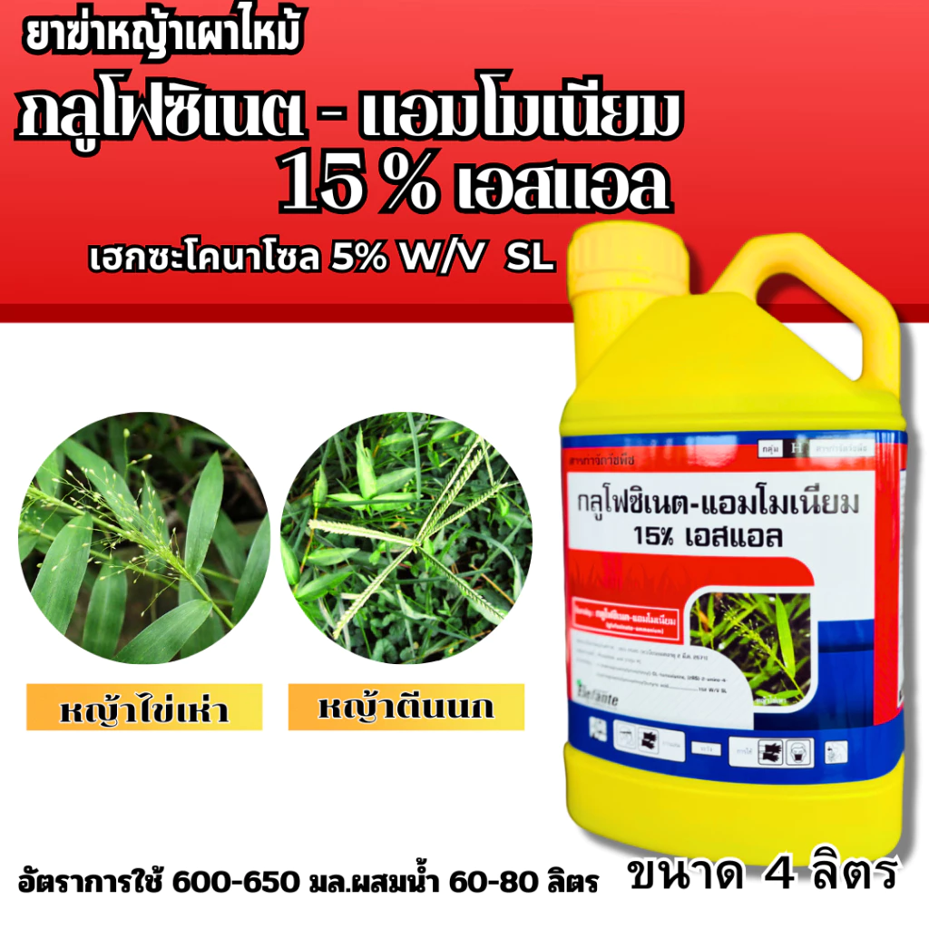 กลูโฟซิเนต - แอมโมเนียม 15%เอสแอล 4ลิตร เอเลฟองเต้ ยาขจัดหญ้าชนิดแรง กลูโฟซิเน็ต เผาไหม้ ดูดซึม กลูโฟ ไกลโฟ