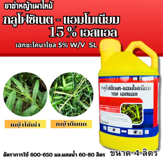 กลูโฟซิเนต - แอมโมเนียม 15%เอสแอล 4ลิตร เอเลฟองเต้ ยาขจัดหญ้าชนิดแรง กลูโฟซิเน็ต เผาไหม้ ดูดซึม กลูโฟ ไกลโฟ