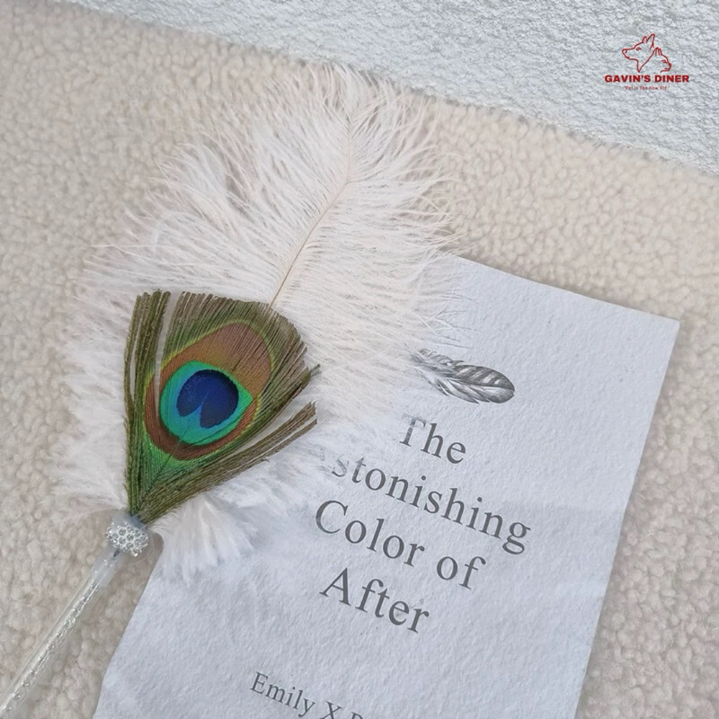 [✅พร้อมส่ง!] ไม้ตกแมวขนนกยูง สวยๆคลีนๆ ชีวิตติดแกลมต้องมี ไม้ตกลูกคุณ