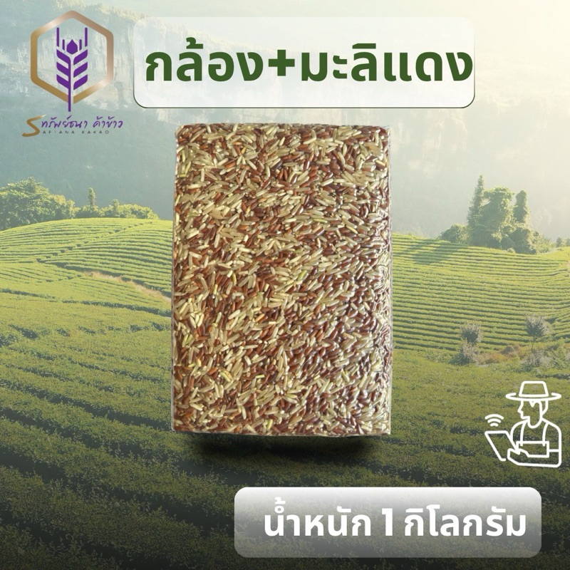 ข้าวกล้อง+มะลิแดงแพคสูญญากาศ1กิโลกรัม ตราทรัยพ์ธนา