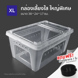 กล่องพลาสติกใส่สัตว์เลี้ยง ฝาล็อคแน่น รูระบายอากาศรอบกล่อง ใส่สัตว์เลี้ยงขนาดเล็ก สัตว์เลื้อยคลาน