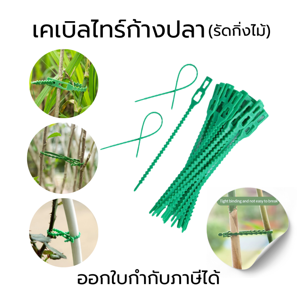 สายรัดต้นไม้ เข็มขัดรัดต้นไม้ เคเบิลไทร์ก้างปลา พลาสติกรัดต้นไม้ รัดต้นไม้ ต้นไม้