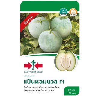 แฟงหอม F1 แป้นหอมนวล ตราศรแดง