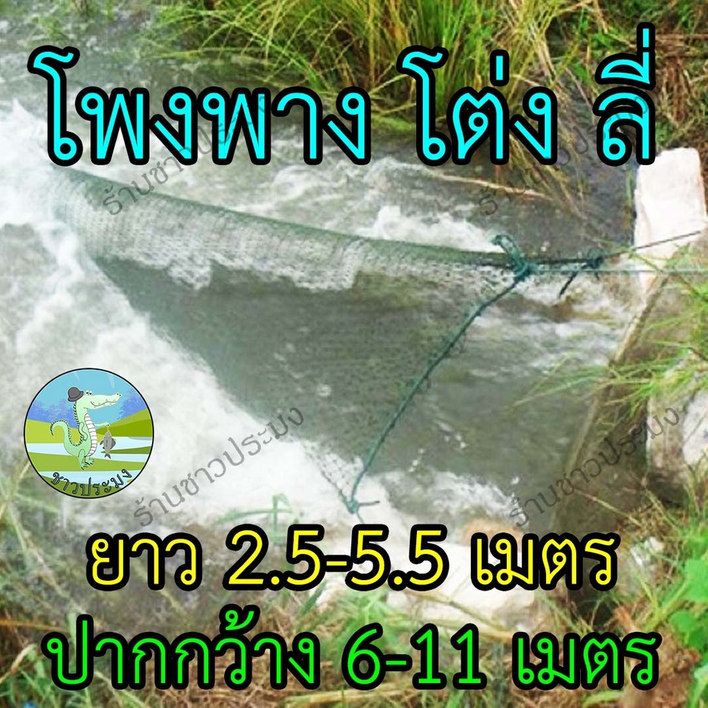 โต่งด้ายโปลีเขียว ยาว 2.5-6.5 เมตร ปากกว้าง 6-12 เมตร พร้อมใช้งาน โพงพาง โต่ง ดักปลาทางน้ำไหล