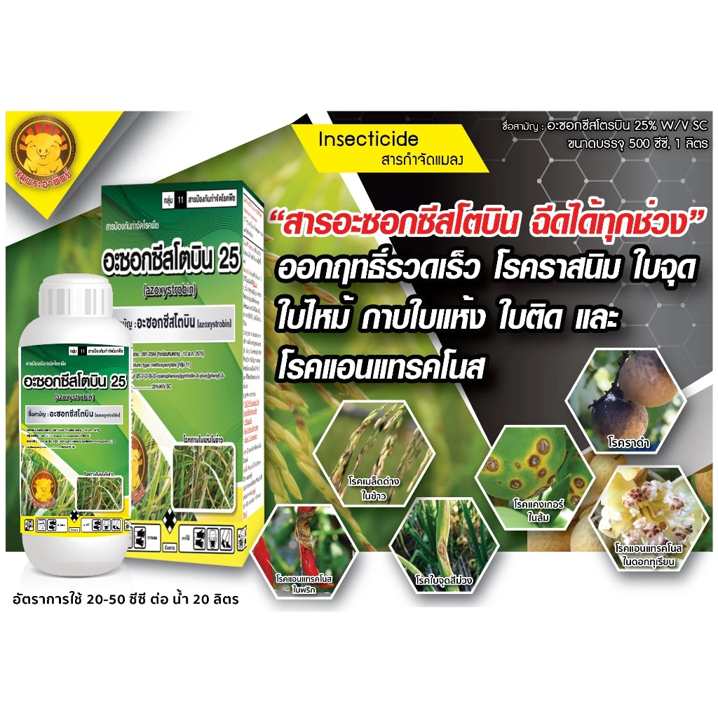 อะซอกซีสโตรบิน (azoxystrobin)( 1L ) ใช้ป้องกันกำจัดโรคพืช แอนแทรคโนส ใบไหม้ ใบขีด ใบจุด โรคราสนิม