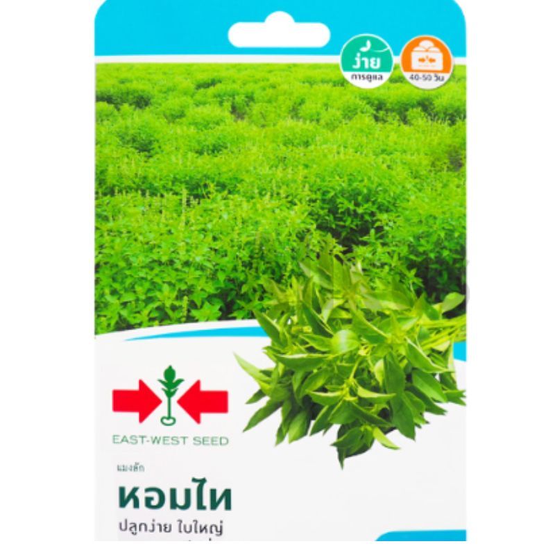 เมล็ดแมงลัก หอมไท ตราศรแดง