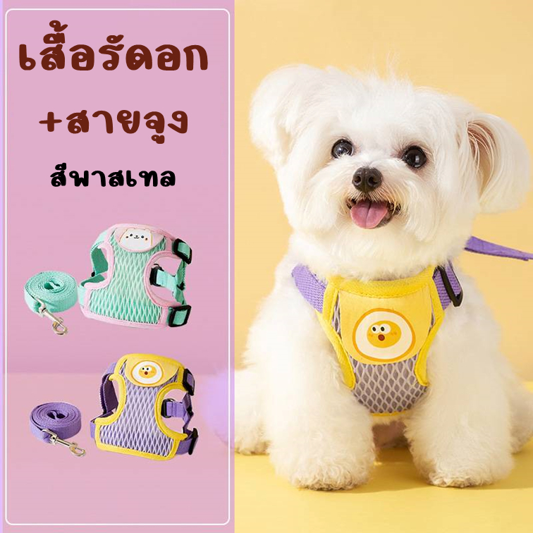 สายจูงหมา-แมว รุ่นตาข่ายสีพาลเทล S-XL สายรัดอกแมว สามารถปรับระดับได้