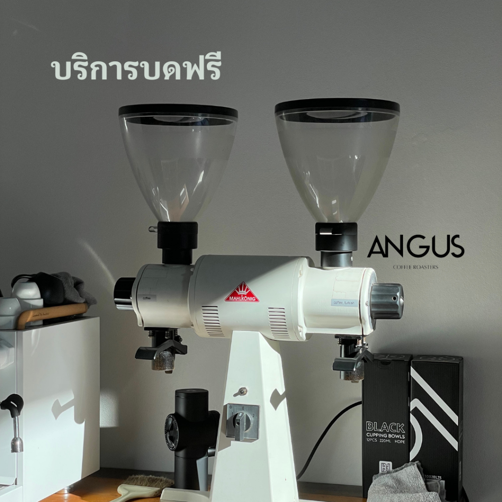 Angus Coffee Roasters เมล็ดกาแฟคั่วอ่อน Filter – Panama Volcan Baru Geisha Natural ราคา ถูกที่สุด ดีลบีเคเค แกลเลอรีภาพที่ 5