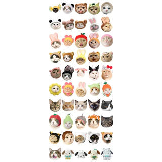 💥จัดส่งไว💥(389-แมว)สติกเกอร์รูปหัวน้องแมว 50 ชิ้น