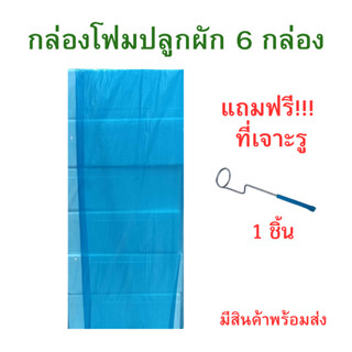 กล่องโฟมปลูกผัก 6 กล่อง กล่องปลูกผักไฮโดรโปนิกส์ แถมฟรีที่เจ…