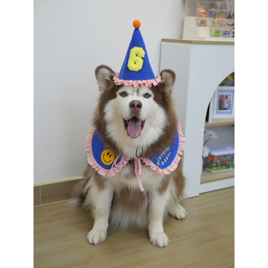 CLAWSET قبعة عيد ميلاد للحيوانات Birthday Baby — صورة 7