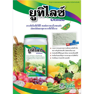 ยูทิไลซ์ โซตัส ธาตุอาหารที่จำเป็นต่อการเจริญเติบโตของพืช ขนา…