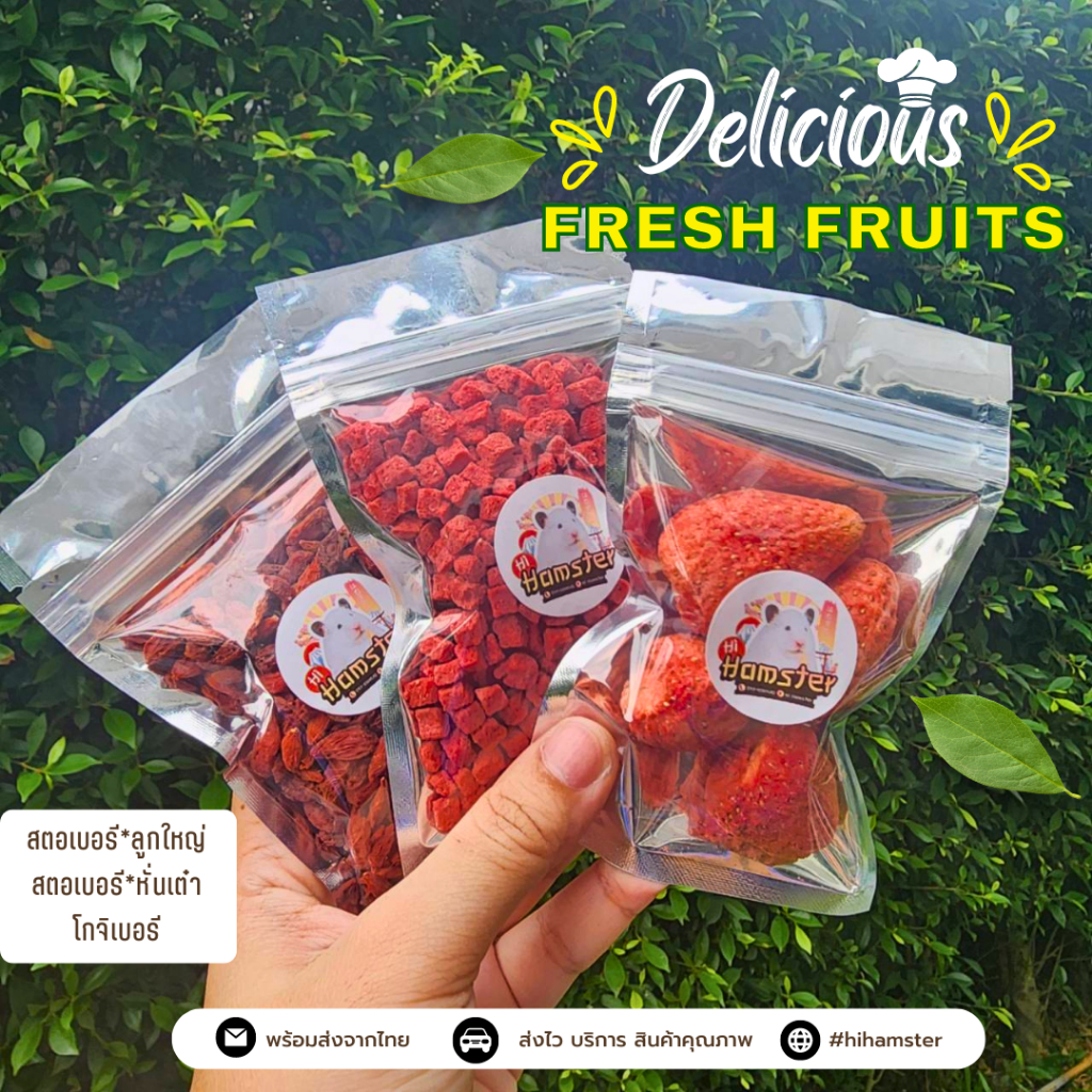 สตอเบอรีอบเเห้ง สำหรับสัตว์ฟันแทะ สัตว์เล็ก กระต่าย แฮมเตอร์ เสริมวิตามินบำรุงขน ขนาด 17g