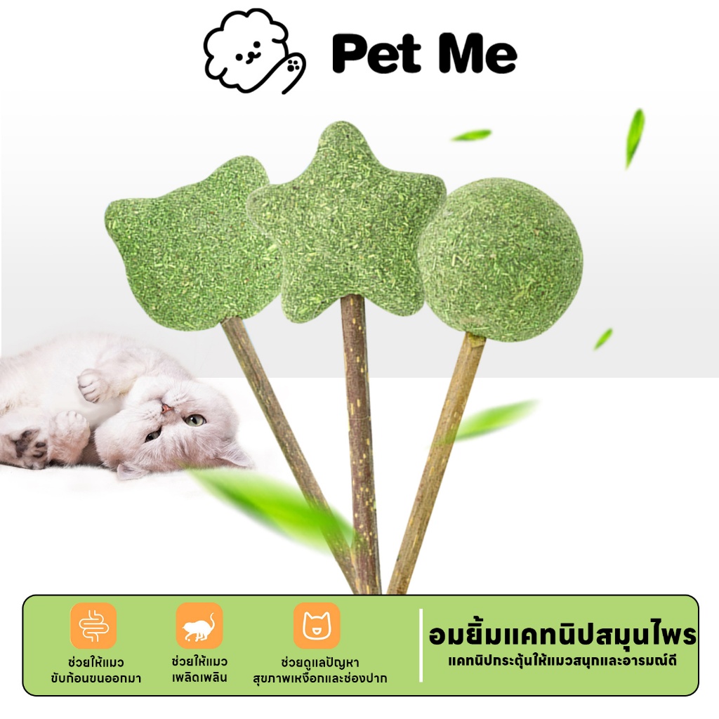 petme 💎 Catnip Lollipop อมยิ้มแคทนิปเสียบไม้มาทาบิ สมุนไพรแมวฟิน แคทนิปแมว ของเล