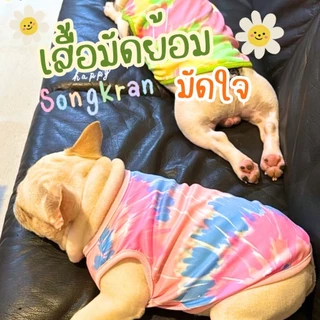 🇹🇭พร้อมส่ง🇹🇭 เสื้อมัดย้อม เสื้อหมา เสื้อแมว ลายสงกรานต์ สีสันสดใส น่ารักมาก (เลือกสีได้)