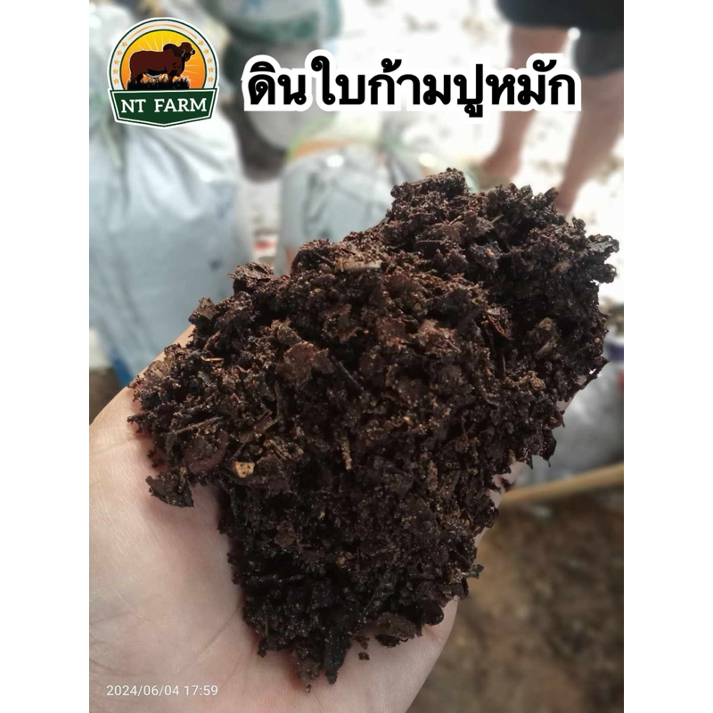 ดินใบก้ามปูหมัก ใต้ต้นจามจุรี ดินปลูกต้นไม้ ดินอินทรีย์ ขนาด 10kg | NT FARM