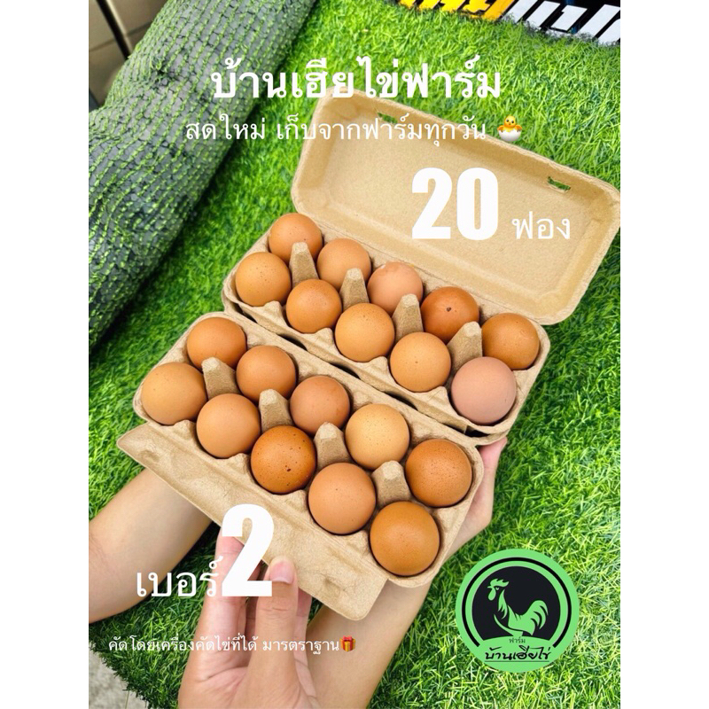 ไข่ไก่เบอร์2 อารมณ์ดี 20ฟอง สดใหม่จากฟาร์มวันต่อวัน