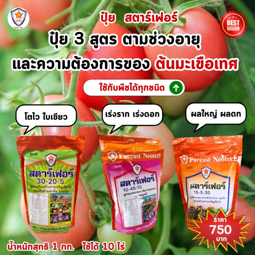 ปุ๋ยมะเขือเทศ สตาร์เฟอร์ ครบจบทุกความต้องการ โตไว ใบเขียว เร่งราก เร่งดอก ผลใหญ่ ดกเต็มต้น เพิ่มผลผลิต