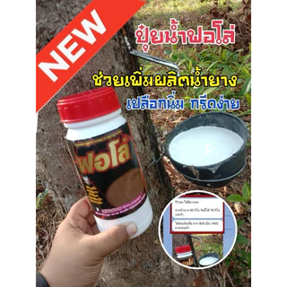 ปุ๋ยน้ำฟอโล่ 6ขวด ฟื้นฟูยางตายนึ่ง เปลือกนิ่มกรีดง่าย น้ำยางเพิ่มขึ้น หน้ายางไม่ดำ ป้องกันโรคราดำ