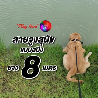 สายจูงสุนัข แมว แบบสปริง สายยาว 5 และ 8 เมตร ยืดและดึงกลับอัตโนมัติ