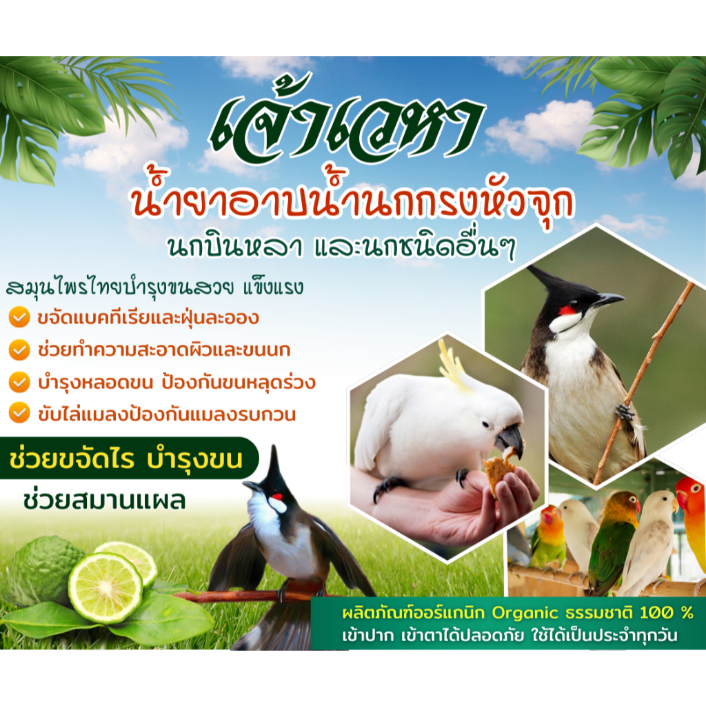 ผลิตภัณฑ์อาบน้ำนก  ดับกลิ่นตัว ลดอาการคัน ขนร่วง เพิ่มความสดชื่น ป้องกันไรนก บำรุงผิวและขน แถมฟรี ถ้วยให้น้ำ 1 ชิ้น