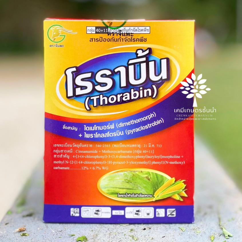 โธราบิ้น (ไดเมโทมอร์ฟ+ไพราโคลสโตรบิน) 100 กรัม ป้องกันและกำจัดเชื้อรา ชนิดดูดซึม ราน้ำค้าง แอนแทรคโนส โรคไหม้ ราสีชมพู