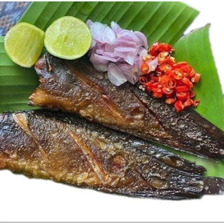 ปลาดุกร้าปากพนังปลอดสารพิษน้ำหนัก 500 กรัม ราคา 155฿