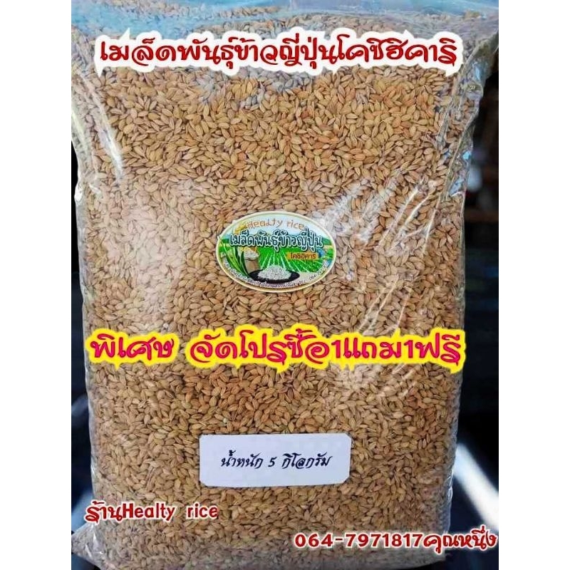 เมล็ดพันธุ์ข้าวญี่ปุ่นโคชิฮิคาริ ขนาด 5 กิโลกรัม1แถม1