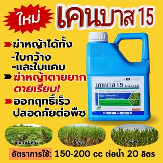 เคน-บาส15(กลูโฟซิเนต-แอมโมเนียม)สารกำจัดวัชพืชทั้งใบกว้างและใบแคบชนิดเผาไหม้+ดูดซึมขนาด4ลิตร