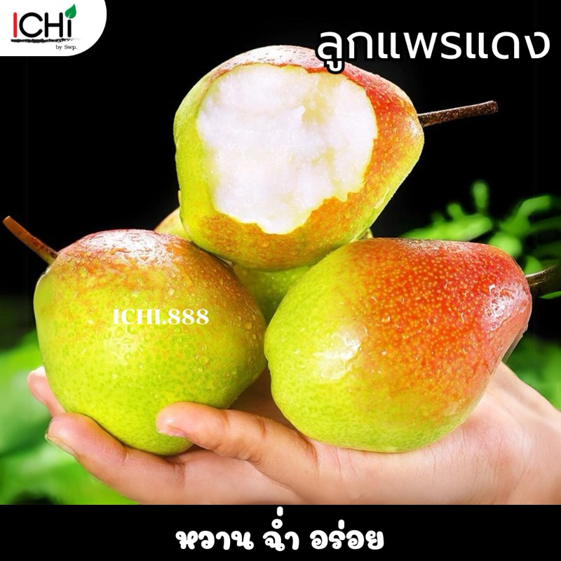ลูกแพรแดง หวานฉ่ำอร่อย