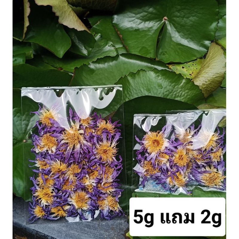 ดอกอบแห้งมิเครนทาฟ้า5แถม2
