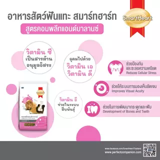 Smartheart อาหารกระต่าย 3kg.
