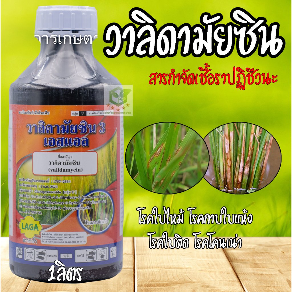 วาลิดามัยซิน 3% WV SL-ขนาดบรรจุ 1 ลิตร ยาป้องกันกำจัดเชื้อรา เป็นสารปฏิชีวนะ โรคใบไหม้ของข้าว โรคกาบใบแห้ง โรคใบติด โรคโ
