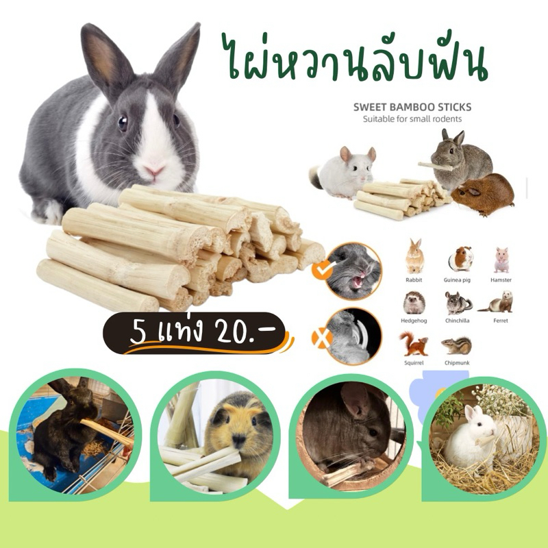 ไผ่หวานไม้แทะเล่นหวานๆลับฟัน