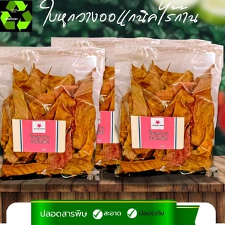 ใบหูกวางออแกนิค ไร้ก้าน #Terminalia Catappa# Malabar leaves #สะอาดปลอดภัยผ่านการฆ่าเขื้อใช้งานง่าย จำนวน1ถุง
