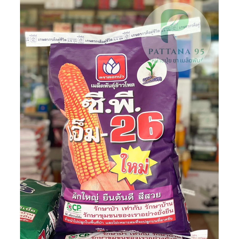 เมล็ดพันธุ์ข้าวโพด ซีพี เอ็ม-26 (3.5หุน) *ขนาด 10 กก. ฝักใหญ่ ยืนต้นดี สีได้เนื้อ เหมาะปลูกที่ลุ่ม ทนนํ้าขัง