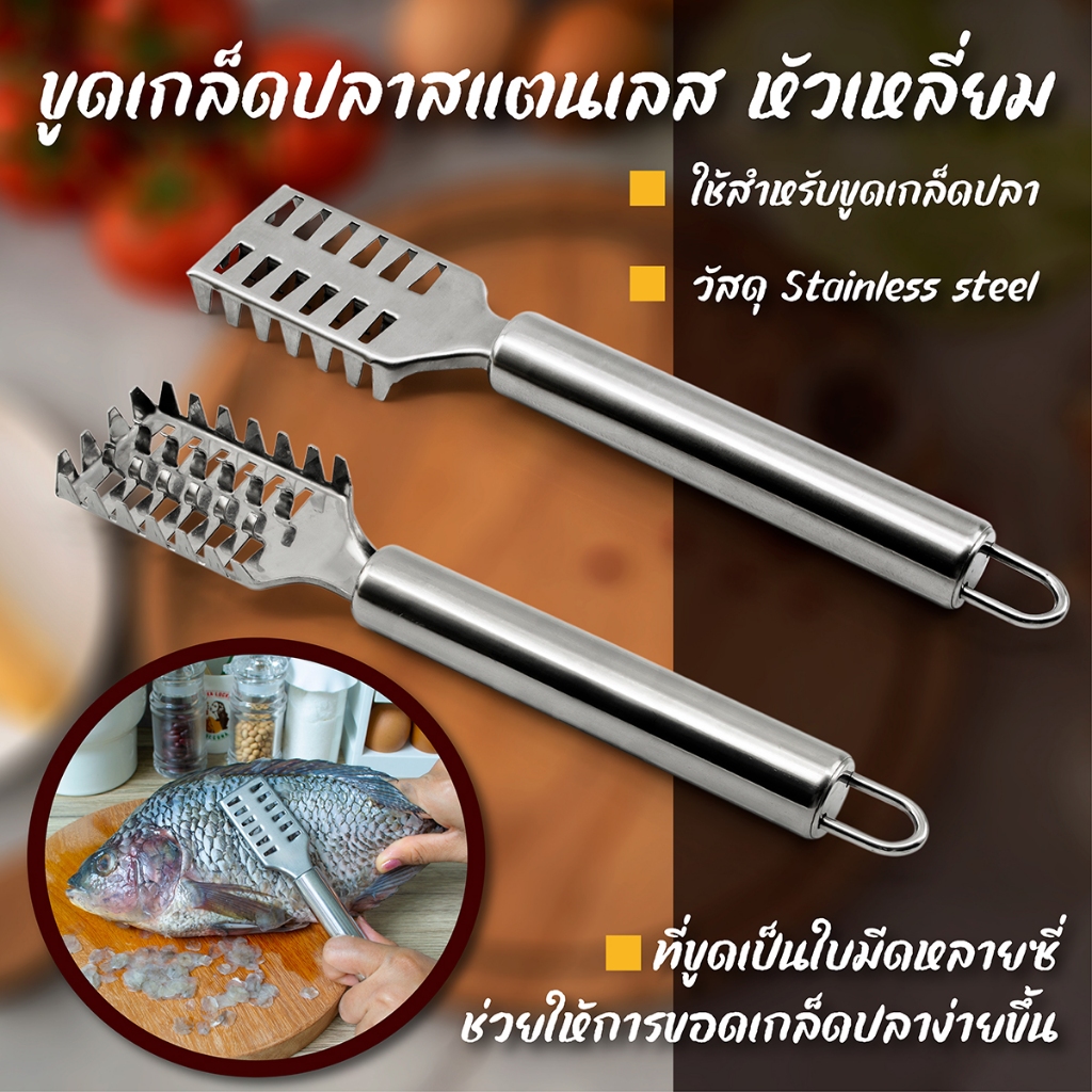 ขูดเกล็ดปลาสแตนเลส หัวเหลี่ยม-เครื่องครัวตราสมอ