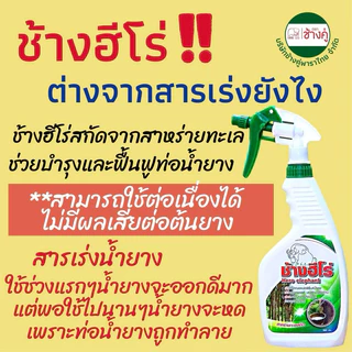 ช้างฮีโร่ (ขวดเติม) ประหยัดกว่า สารบำรุงหน้ายาง ไม่มียาเร่ง ของแท้100%