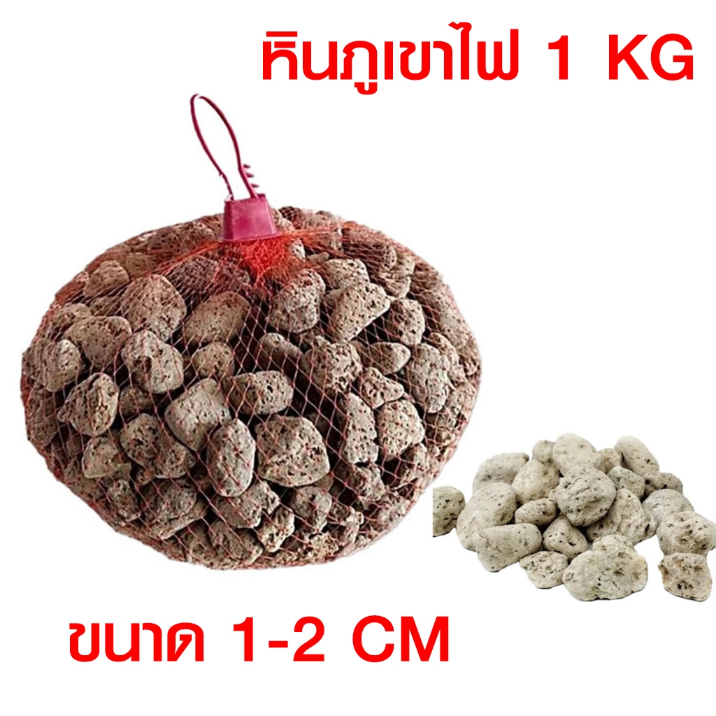 หินภูเขาไฟ 1 กิโลกรัม./พร้อมถุงตาข่าย เกรดA ฝุ่นน้อย วัสดุกรองตู้ปลา หรือใช้รองพื้นกระถางต้นไม้ ขนาดเม็ด 1-2