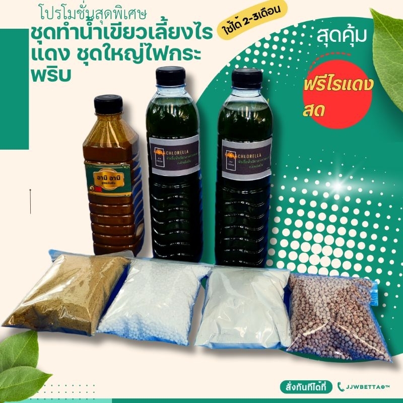 ชุดเพาะไรแดงชุดใหญ่ ใช้ได้นาน 2-3เดือน สุดคุ้ม ฟรีไรแดง