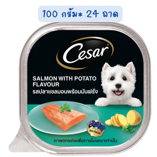 Cesar ซีซ่าร์ อาหารเปียกสุนัข แบบถาด ยกลัง 24 ถาด (85, 100กรัม/ถาด)