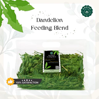 Exotic Essentials 🌿 Dandelion ใบแดนดิไลออน *ใบสวยและใหญ่* สำหรับกระต่าย แกสบี้ ชินชิล่า แพรรีด็อก