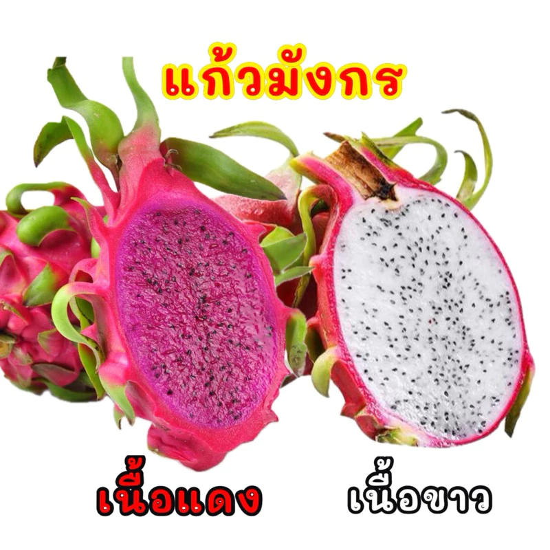 พร้อมส่ง‼️1KG แก้วมังกรสด (เนื้อแดง/เนื้อขาว)