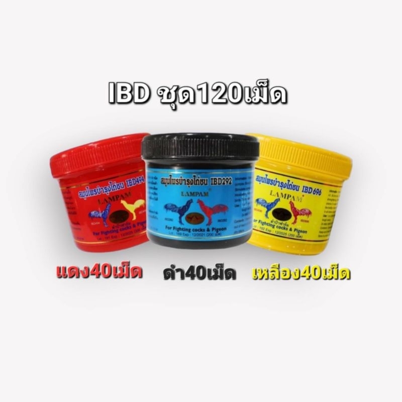 อาหารนก ชุดเลี้ยงIBD ลำปำ อุปกรณ์ไก่ชนครบ