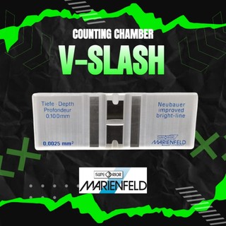 V-slash counting chamber, bright line, Marienfeld (สไลด์นับเม็ดเลือด / ฮีมาไซโตมิเตอร์)
