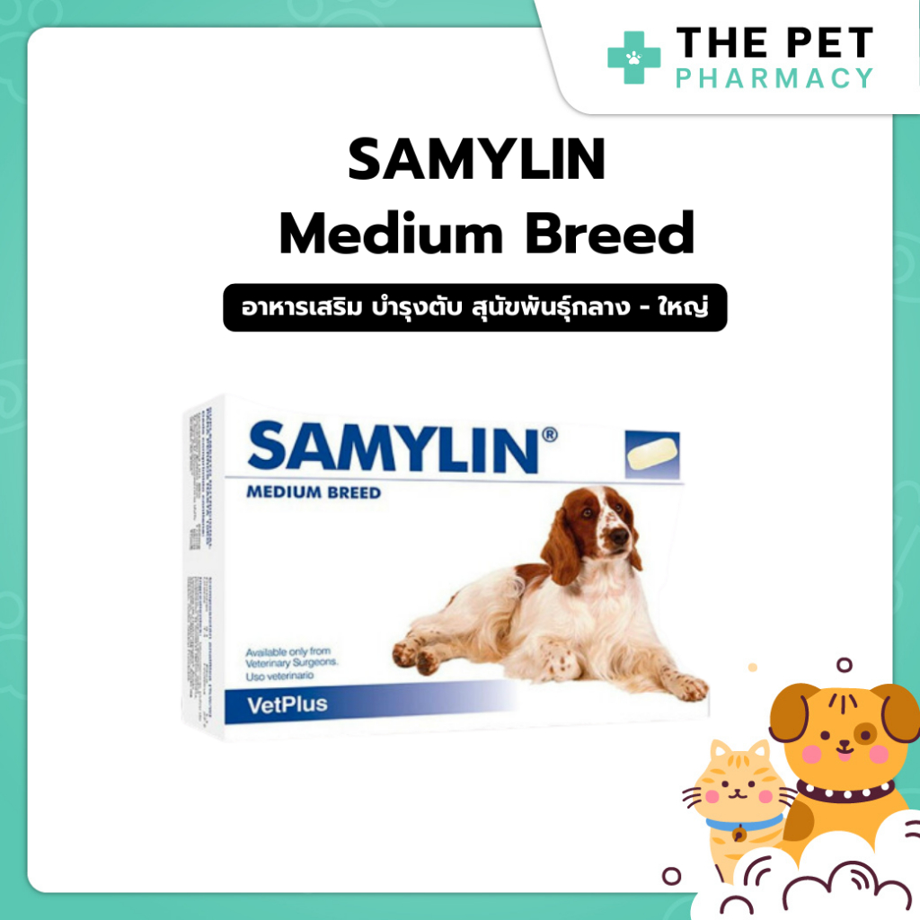 Samylin Medium breed อาหารเสริม บำรุงตับ สุนัขพันธุ์กลาง-ใหญ่ ของแท้ฉลากไทย