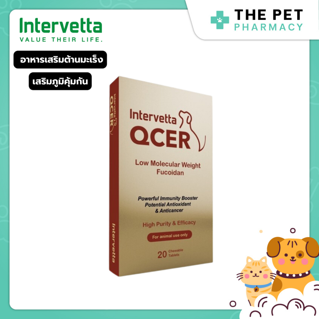 QCER คิวเซอร์ อาหารเสริมต่อต้านมะเร็ง เสริมภูมิคุ้มกันและปรับสมดุลร่างกาย สำหรับสุนัขและแมว