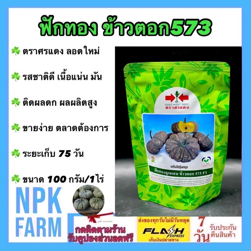 ศรแดง ฟักทอง ข้าวตอก573 หมดอายุ 01/12/2570 ขนาด 100 กรัม ลอตใหม่ ลูกผสม รสชาติดี เนื้อแน่น เหนียวมัน